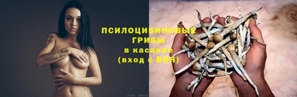 a pvp Абинск
